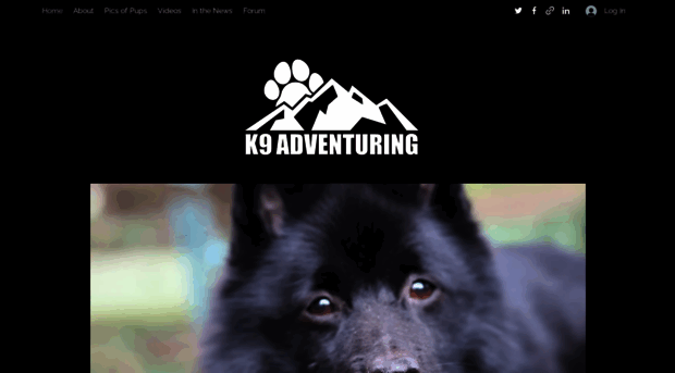 k9adventuring.com