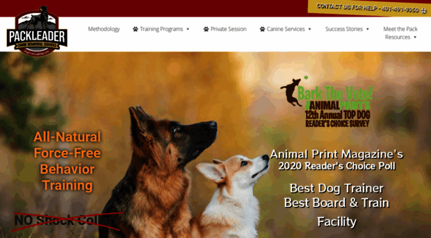 k9behavioralservices.com