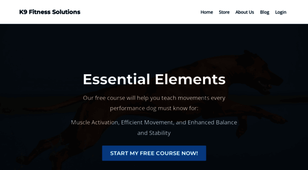 k9fitsolutions.com