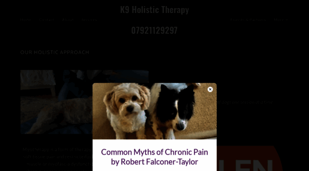 k9holistic.co.uk