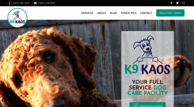 k9kaos.com