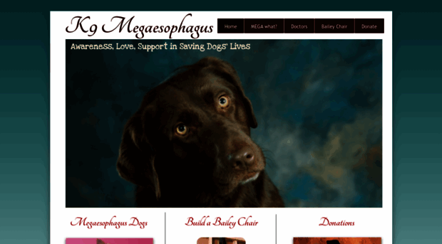 k9megaesophagus.com