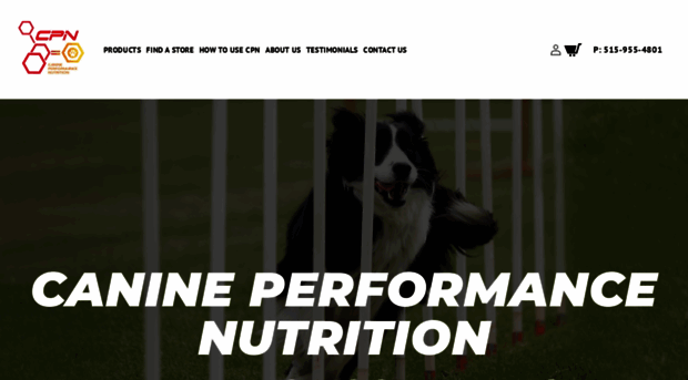 k9performance.com