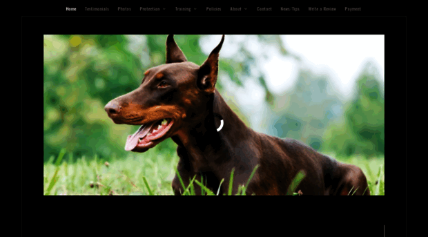 k9specialist.com