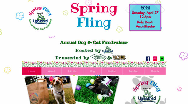 k9springfling.com