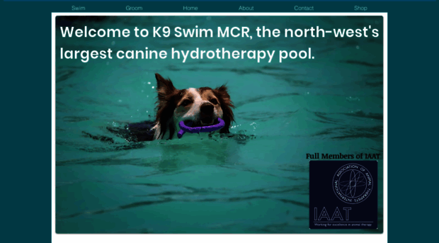 k9swim.com