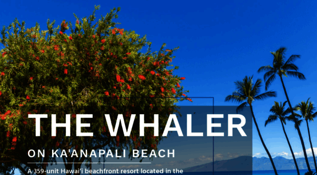 kaanapaliwhaler.com