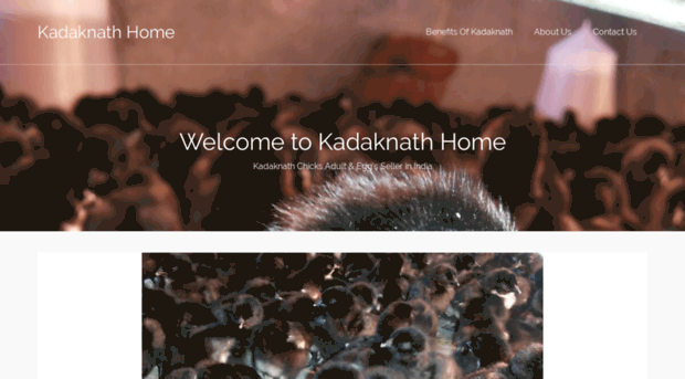 kadaknathhen.com