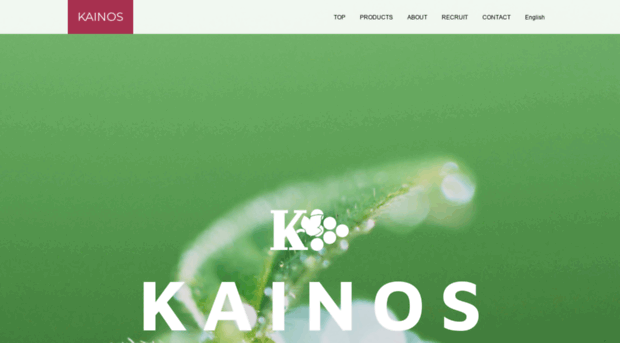 kainos.co.jp