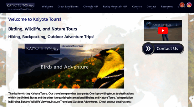 kaiyotetours.com