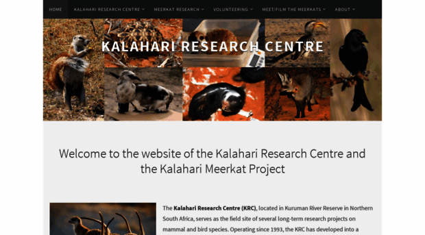 kalahari-meerkats.com