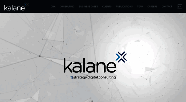 kalane-consulting.com