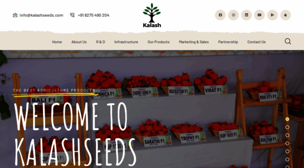 kalashseeds.co.in