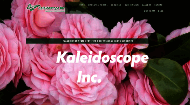 kaleidoscopeinc.net