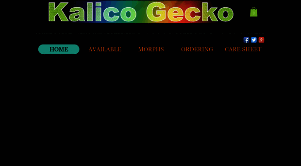 kalicogecko.com