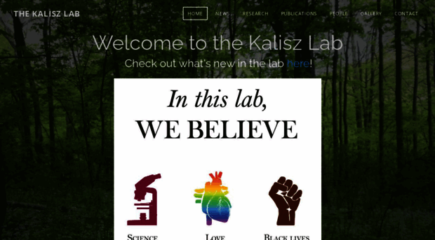 kaliszlab.weebly.com