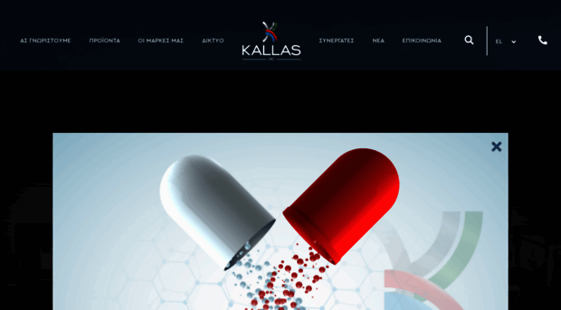 kallasinc.com