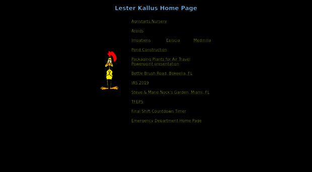 kallus.com