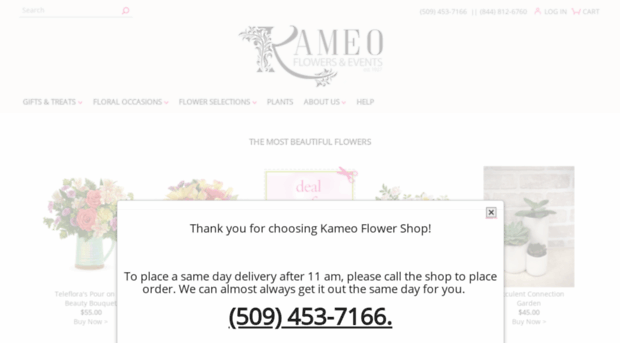 kameoflowershop.com