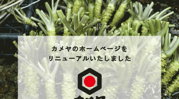 kameya-food.co.jp