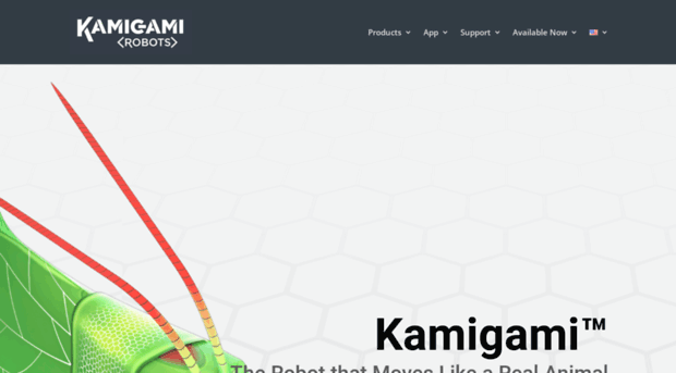 kamigamirobots.com