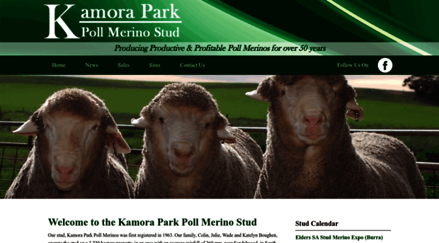kamorapark.com.au