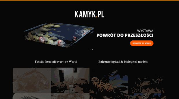 kamyk.pl