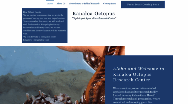 kanaloaoctopus.com