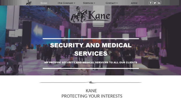 kaneconsultinginc.net