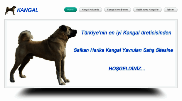 kangal.xyz