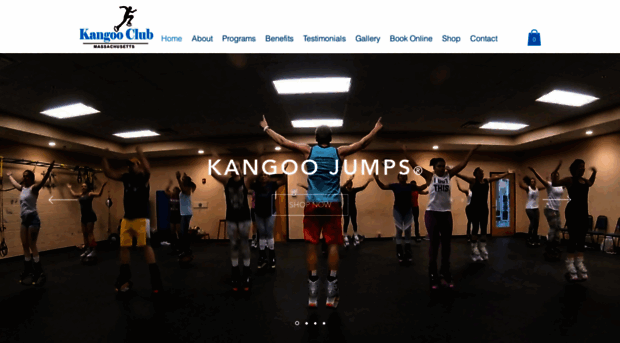 kangooclubmass.com