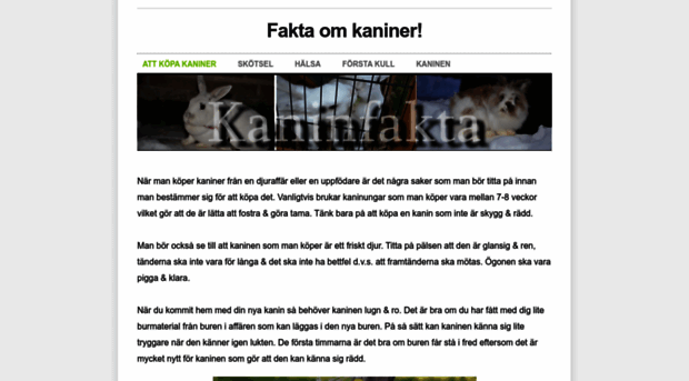 kaninfakta.weebly.com