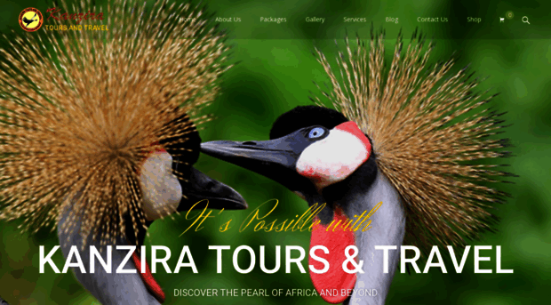 kanziratoursandtravel.com