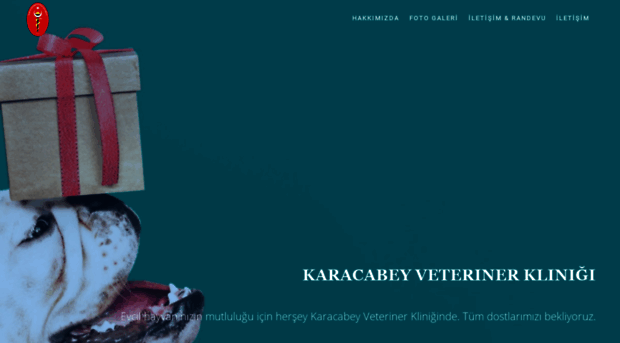 karacabey.site