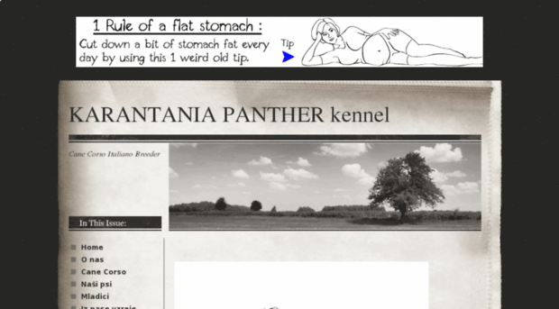 karantaniapanther.webs.com