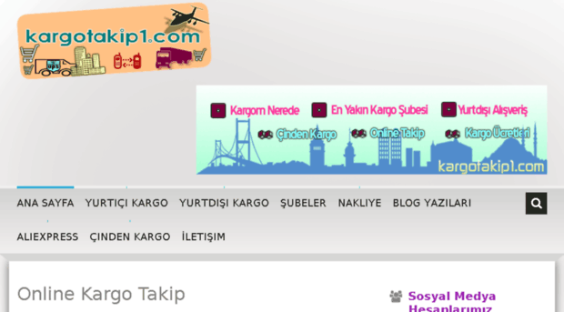 kargotakip1.com