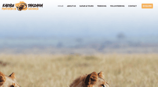 kaributanzaniasafaris.com