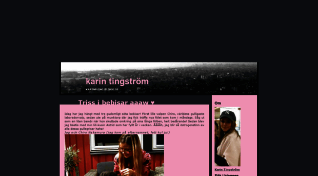 karinpling.blogg.se