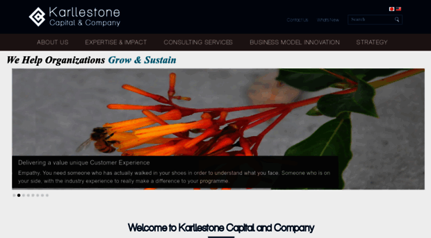 karllestonecapital.com