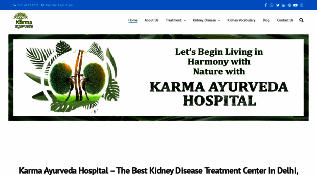 karmaayurvedahospital.com