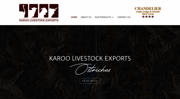 karooexports.com