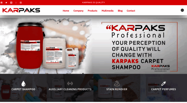 karpaksprofessional.com
