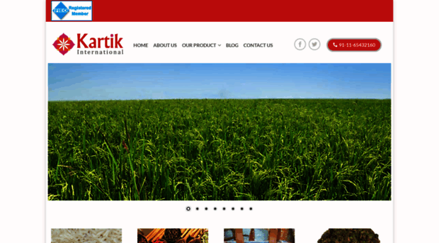 kartikintl.com