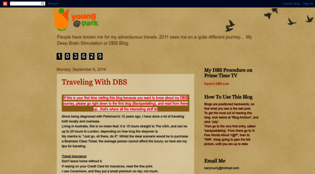 karynsjourneywithdbs.blogspot.com