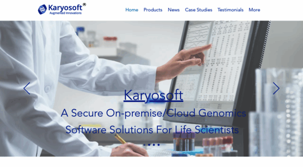 karyosoft.com