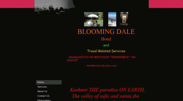 kashmirbloomingdale.com