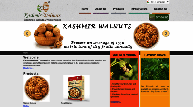 kashmirwalnuts.co.in