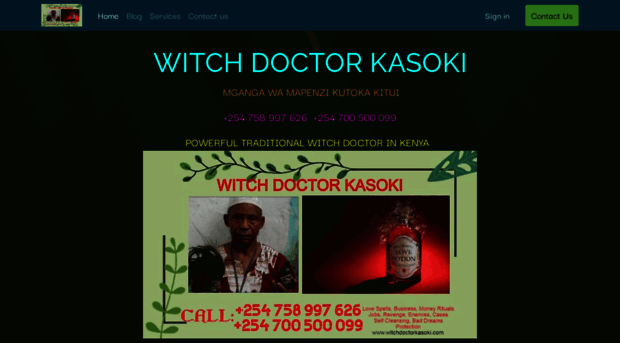 kasokiwitchdoctor1.odoo.com
