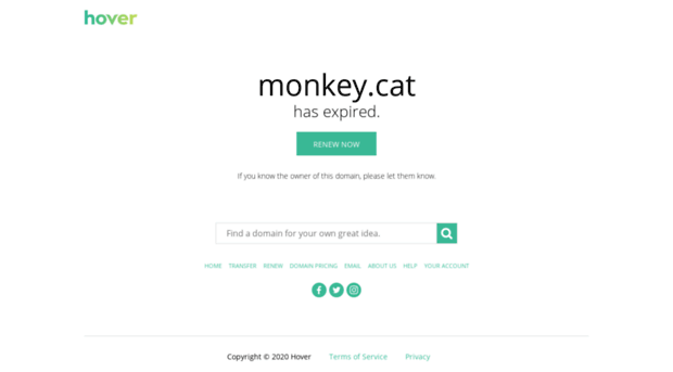 katalog.monkey.cat