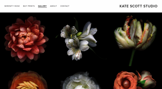 katescottstudio.com